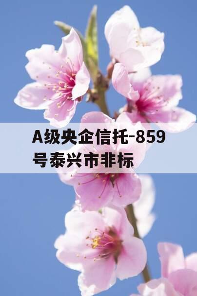 A级央企信托-859号泰兴市非标