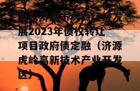 山东济源市虎岭经济发展2023年债权转让项目政府债定融（济源虎岭高新技术产业开发区）