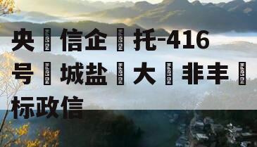 央‮信企‬托-416号‮城盐‬大‮非丰‬标政信