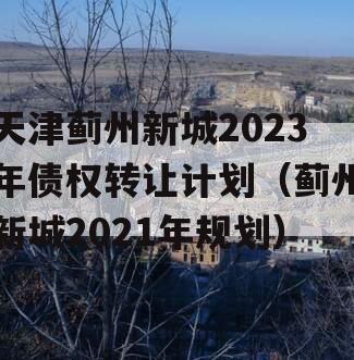 天津蓟州新城2023年债权转让计划（蓟州新城2021年规划）