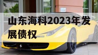 山东海科2023年发展债权