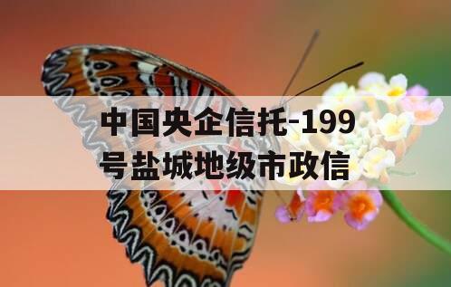 中国央企信托-199号盐城地级市政信