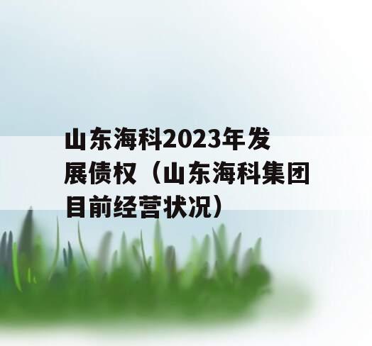 山东海科2023年发展债权（山东海科集团目前经营状况）