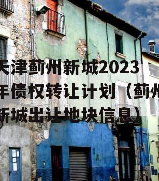 天津蓟州新城2023年债权转让计划（蓟州新城出让地块信息）