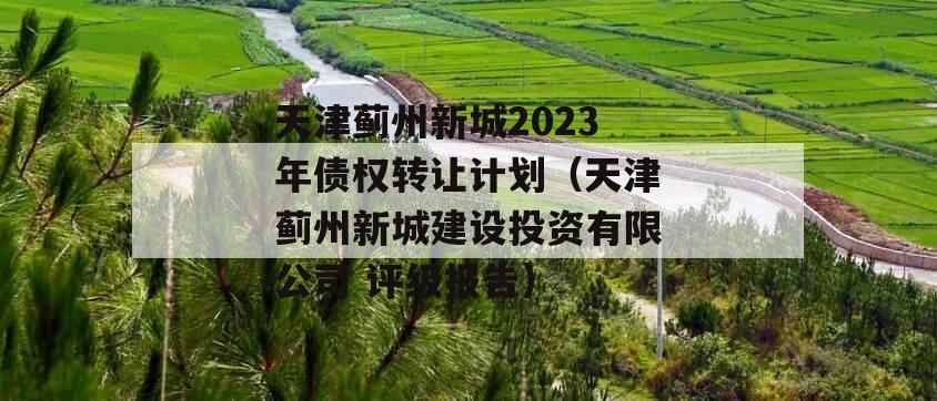 天津蓟州新城2023年债权转让计划（天津蓟州新城建设投资有限公司 评级报告）