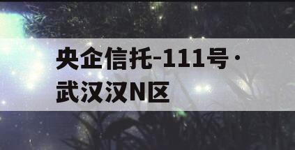 央企信托-111号·武汉汉N区