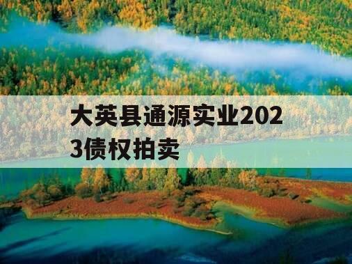 大英县通源实业2023债权拍卖