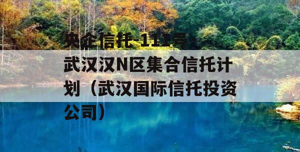 央企信托-111号·武汉汉N区集合信托计划（武汉国际信托投资公司）