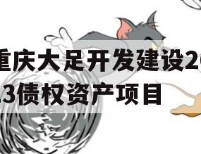 重庆大足开发建设2023债权资产项目