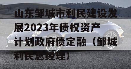 山东邹城市利民建设发展2023年债权资产计划政府债定融（邹城利民总经理）