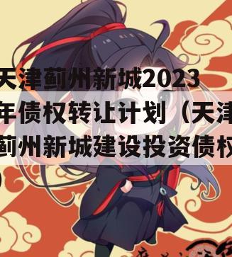 天津蓟州新城2023年债权转让计划（天津蓟州新城建设投资债权）