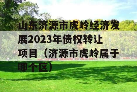 山东济源市虎岭经济发展2023年债权转让项目（济源市虎岭属于哪个区）