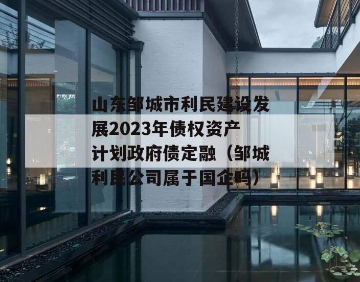 山东邹城市利民建设发展2023年债权资产计划政府债定融（邹城利民公司属于国企吗）