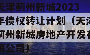 天津蓟州新城2023年债权转让计划（天津蓟州新城房地产开发有限公司）