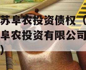 江苏阜农投资债权（江苏阜农投资有限公司定融）