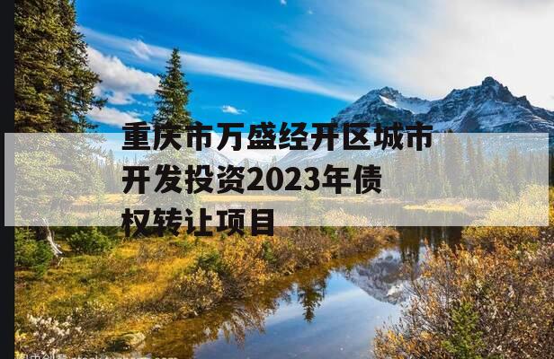 重庆市万盛经开区城市开发投资2023年债权转让项目