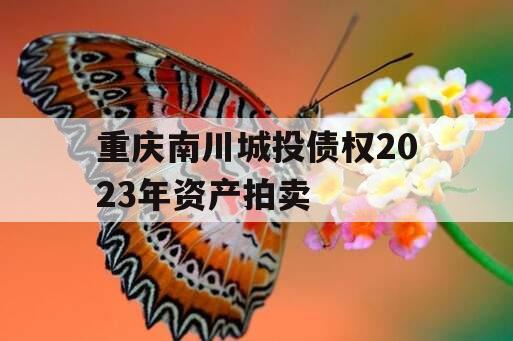 重庆南川城投债权2023年资产拍卖