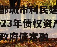 山东邹城市利民建设发展2023年债权资产计划政府债定融