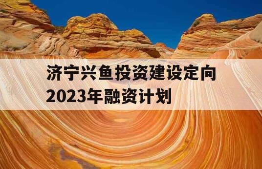 济宁兴鱼投资建设定向2023年融资计划