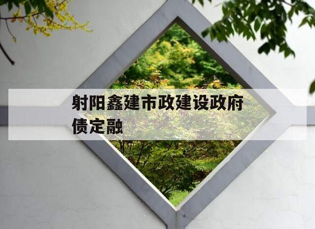 射阳鑫建市政建设政府债定融