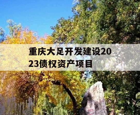 重庆大足开发建设2023债权资产项目