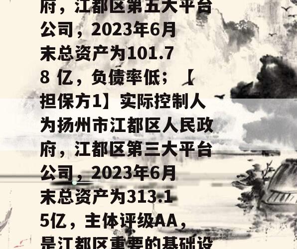 稀缺苏中非标政信，南京都市圈非网红区域，绑定当地第二和第三大平台！?【A类央企信托-713号扬州江都非标】?【要素】1亿，24个月，每年12月20号付息【预期收益】30万：5.8%【发行人】实际控制人为扬州市江都区人民政府，江都区第五大平台公司，2023年6月末总资产为101.78 亿，负债率低；【担保方1】实际控制人为扬州市江都区人民政府，江都区第三大平台公司，2023年6月末总资产为313.15亿，主体评级AA，是江都区重要的基础设置建设主体；【担保方2】实际控制人为扬州市江都区人民政府，江