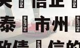 关于央‮信企‬托-91号·泰‮市州‬级永续‮政债‬信的信息