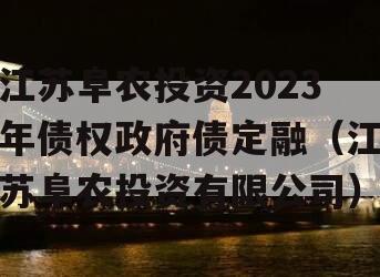 江苏阜农投资2023年债权政府债定融（江苏阜农投资有限公司）