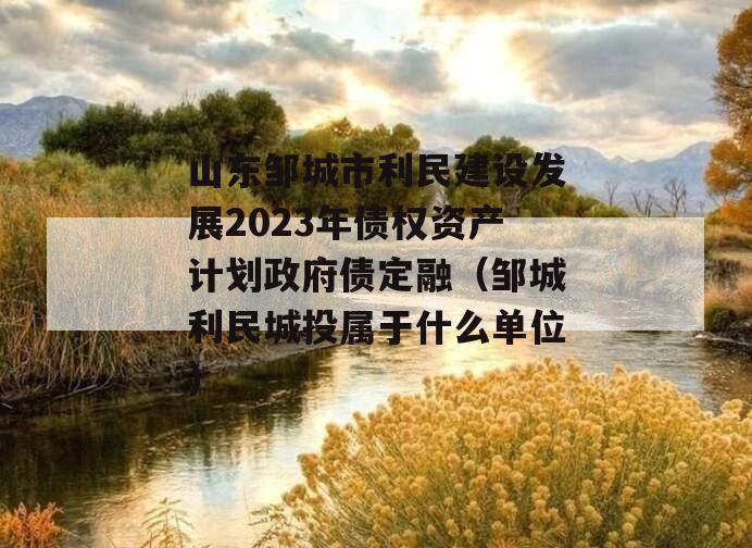 山东邹城市利民建设发展2023年债权资产计划政府债定融（邹城利民城投属于什么单位）