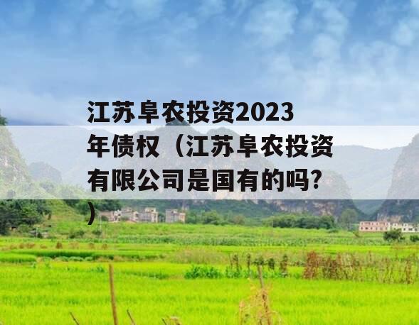 江苏阜农投资2023年债权（江苏阜农投资有限公司是国有的吗?）