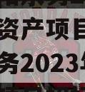 四川简阳水务2023年债权资产项目（四川简阳水务2023年债权资产项目招标）