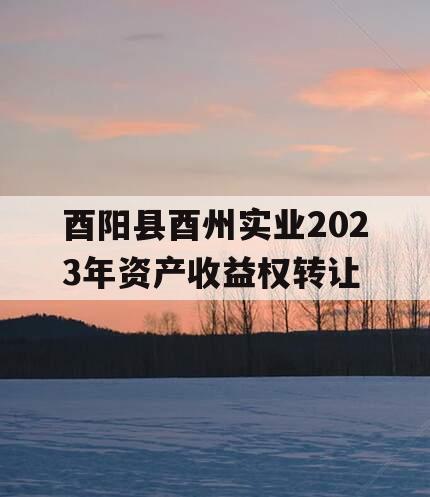 酉阳县酉州实业2023年资产收益权转让
