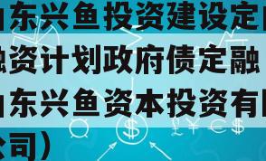 山东兴鱼投资建设定向融资计划政府债定融（山东兴鱼资本投资有限公司）