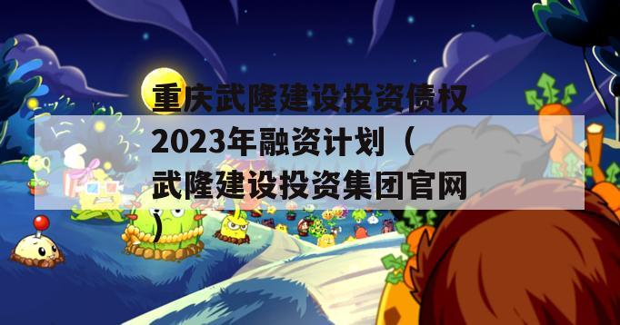 重庆武隆建设投资债权2023年融资计划（武隆建设投资集团官网）