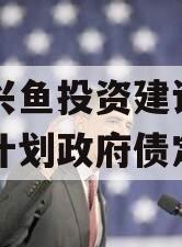 山东兴鱼投资建设定向融资计划政府债定融