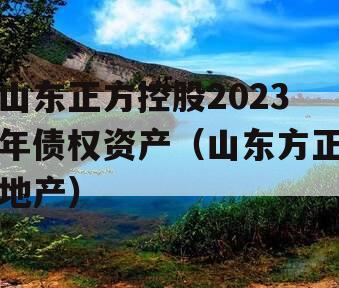 山东正方控股2023年债权资产（山东方正地产）