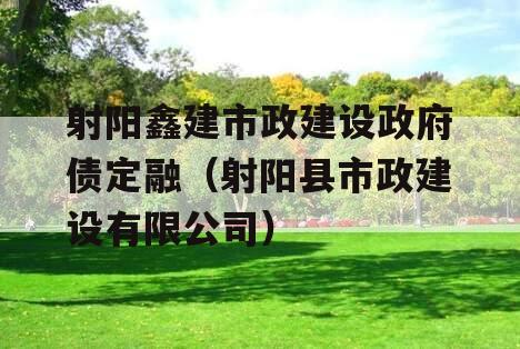 射阳鑫建市政建设政府债定融（射阳县市政建设有限公司）