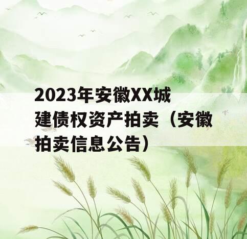 2023年安徽XX城建债权资产拍卖（安徽拍卖信息公告）