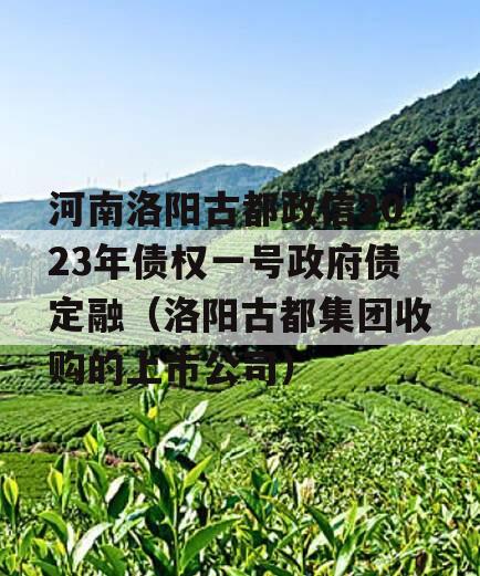 河南洛阳古都政信2023年债权一号政府债定融（洛阳古都集团收购的上市公司）