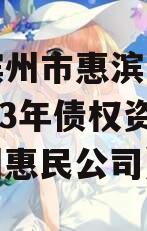 山东滨州市惠滨实业发展2023年债权资产（滨州惠民公司）