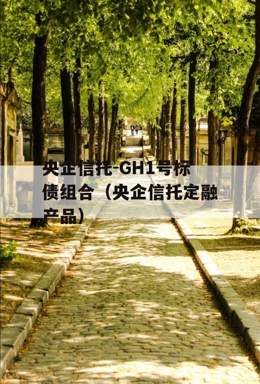 央企信托-GH1号标债组合（央企信托定融产品）