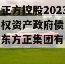 山东正方控股2023年债权资产政府债定融（山东方正集团有限公司）