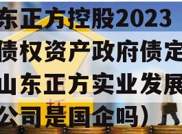 山东正方控股2023年债权资产政府债定融（山东正方实业发展有限公司是国企吗）