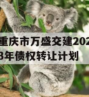 重庆市万盛交建2023年债权转让计划