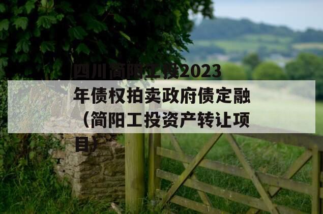 四川简阳工投2023年债权拍卖政府债定融（简阳工投资产转让项目）