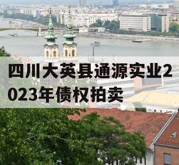 四川大英县通源实业2023年债权拍卖