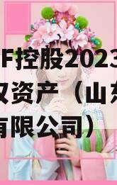 山东ZF控股2023年债权资产（山东控股集团有限公司）