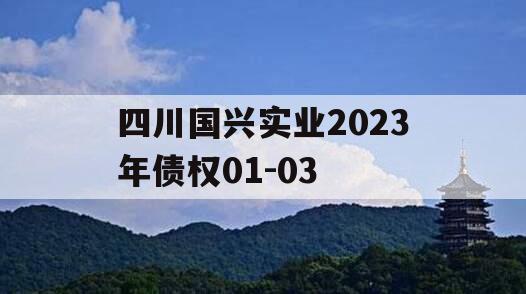 四川国兴实业2023年债权01-03