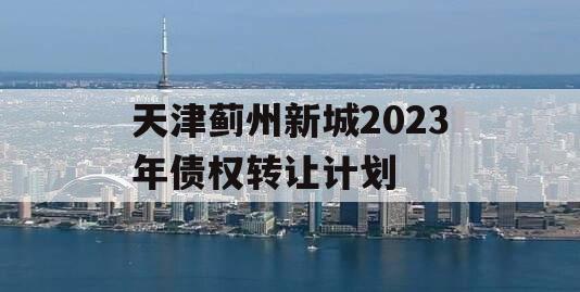 天津蓟州新城2023年债权转让计划