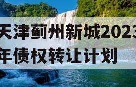 天津蓟州新城2023年债权转让计划